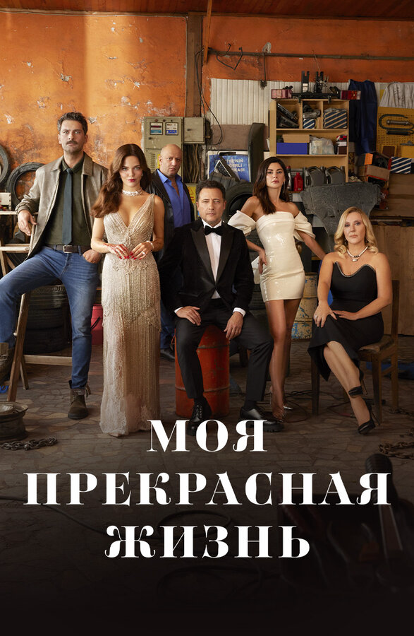 Моя прекрасная жизнь - постер сериала